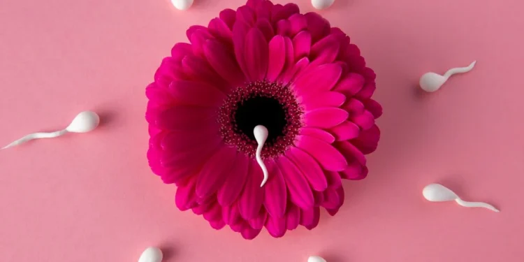 İran'da doğurganlık tedavisinin maliyeti