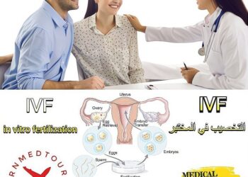 إخصاب الأنابيب خارج الجسم (IVF)