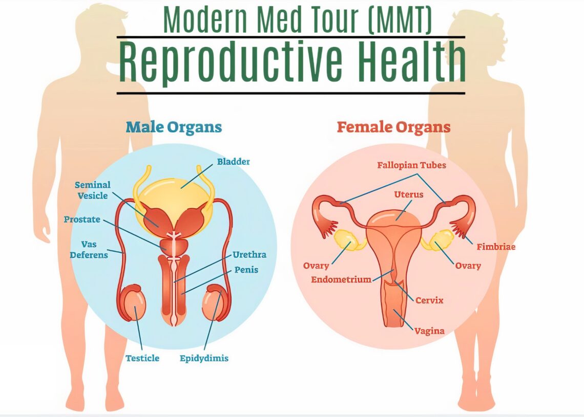 إيران تبرز كوجهة استثنائية لجراحة قناة فالوب، حيث تقدم هذه الخدمة بأسعار أكثر إعتدالاً مقارنةً بالعديد من البلدان الأخرى. تتراوح التكاليف في إيران ما بين 1000 و2000 دولار. هذا يعني أن المرضى لديهم فرصة للحصول على رعاية صحية متميزة بتكلفة مناسبة. إلى جانب التكاليف المعقولة، تتمتع إيران بمستوى عال من الخبرة والكفاءة الطبية في هذا المجال. باستخدام أحدث التقنيات والمعدات الطبية المتطورة، يمكن للمرضى الاعتماد على جودة عالية في العناية بصحتهم. لهذا السبب، إن إيران تعتبر الوجهة المفضلة للعديد من الأشخاص الباحثين عن جراحة قناة فالوب بجودة عالية وتكلفة معقولة.