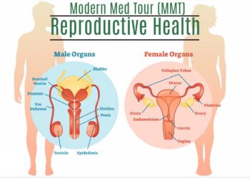 إيران تبرز كوجهة استثنائية لجراحة قناة فالوب، حيث تقدم هذه الخدمة بأسعار أكثر إعتدالاً مقارنةً بالعديد من البلدان الأخرى. تتراوح التكاليف في إيران ما بين 1000 و2000 دولار. هذا يعني أن المرضى لديهم فرصة للحصول على رعاية صحية متميزة بتكلفة مناسبة. إلى جانب التكاليف المعقولة، تتمتع إيران بمستوى عال من الخبرة والكفاءة الطبية في هذا المجال. باستخدام أحدث التقنيات والمعدات الطبية المتطورة، يمكن للمرضى الاعتماد على جودة عالية في العناية بصحتهم. لهذا السبب، إن إيران تعتبر الوجهة المفضلة للعديد من الأشخاص الباحثين عن جراحة قناة فالوب بجودة عالية وتكلفة معقولة.