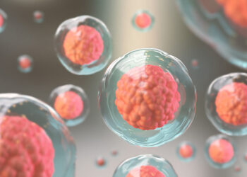 Infertility treatment package with stem cells in Iran