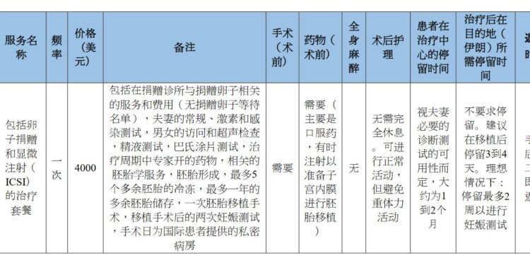 2025 年伊朗卵子捐赠和 ICSI 套餐