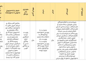 چارەسەری خانەیی لە چارەسەری نەزۆکیدا پاکێجی ٢٠٢٥