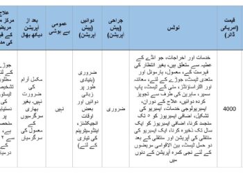 انڈے کا عطیہ اور مائیکرو انجیکشن (ICSI) پیکیج 2025