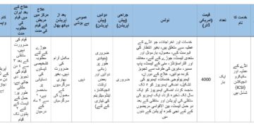 انڈے کا عطیہ اور مائیکرو انجیکشن (ICSI) پیکیج 2025