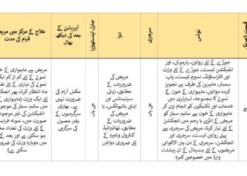 بیواقعدگی کے علاج میں سیل تھراپی پیکج 2025