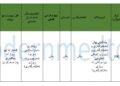 پاکێجی چارەسەری PRPی منداڵدان 2025