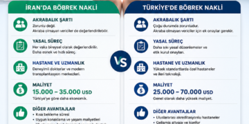 Böbrek Nakli İçin İran mı Türkiye mi?